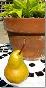 Pear in the Garden